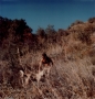 Billy and Brujo, Holy Jim canyon, 1974.