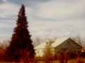 Commune house, Woodburn Oregon, 1969